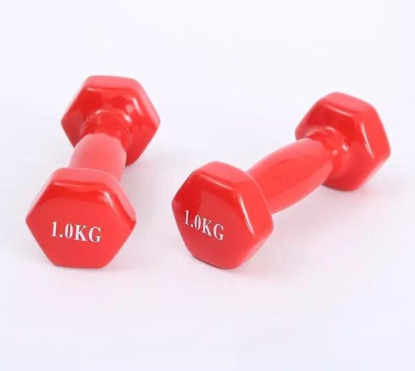 Vinyl Aerobics Dumbbell (price per kg) - Image 2