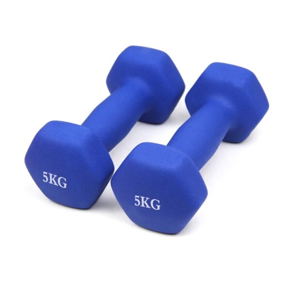 Vinyl Aerobics Dumbbell (price per kg) - Image 5