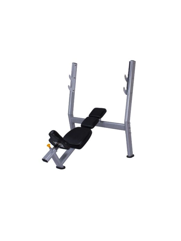 Commercial Incline Weight Bench