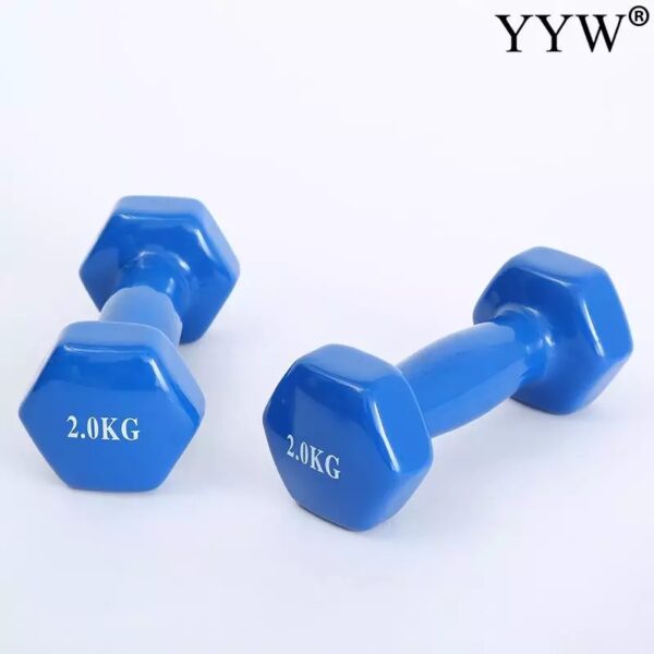 Vinyl Aerobics Dumbbell (price per kg) - Image 4