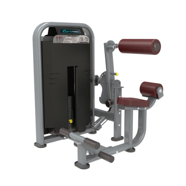 Commercial Abdominal Crunch & Back Extension Machine